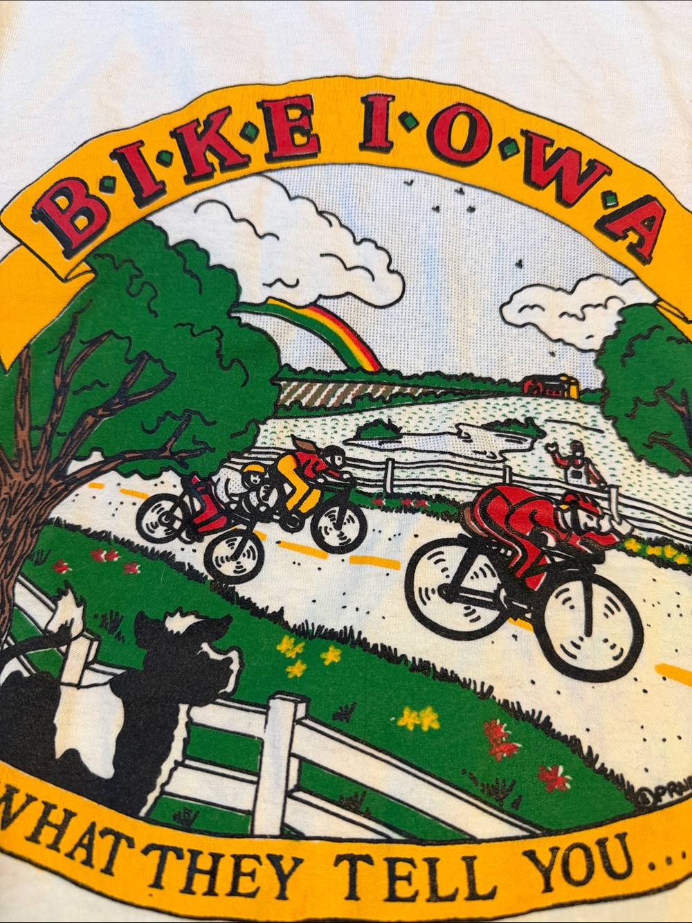 1991 BIKE IOWA VINTAGE TEE FOR graphic